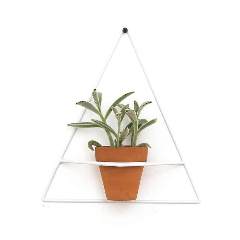 NewMade LA Triangle Wall Planter | White- PLX02